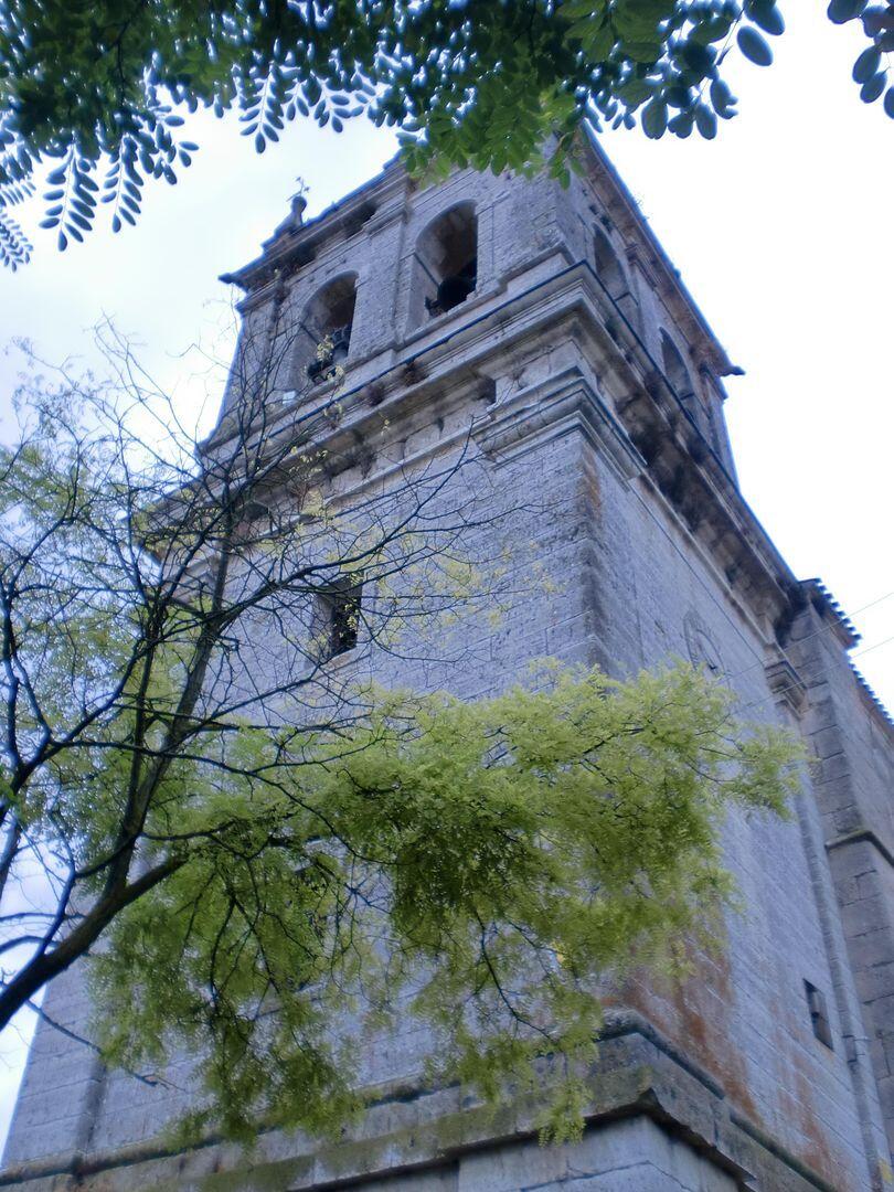 Fotografía de la galería de imágenes con id: 854